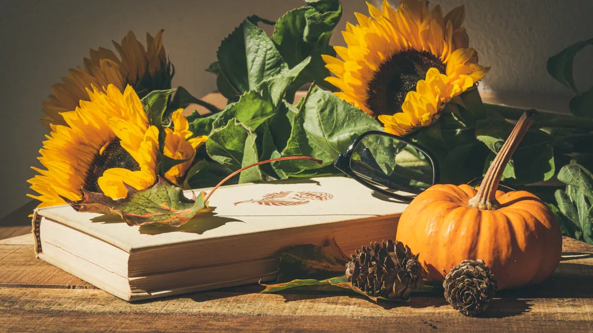 The Best Thanksgiving Books Collection